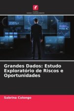 Grandes Dados: Estudo Exploratório de Riscos e Oportunidades