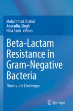 Beta-Lactam Resistance in Gram-Negative Bacteria