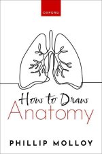 How To Draw Anatomy (Paperback)