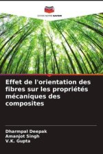 Effet de l'orientation des fibres sur les propriétés mécaniques des composites
