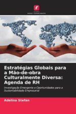 Estratégias Globais para a Mão-de-obra Culturalmente Diversa: Agenda de RH