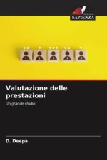 Valutazione delle prestazioni