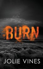 Burn (Dark Island Scots, #4) - SPECIAL EDITION