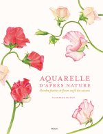 Aquarelle d'après nature : Peindre fleurs et plantes au fil des saisons