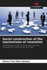 Social construction of the mechanisms of resolution