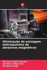 Otimizaç?o da usinagem eletroquímica de abrasivos magnéticos