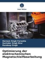 Optimierung der elektrochemischen Magnetschleifbearbeitung
