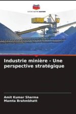 Industrie mini?re - Une perspective stratégique