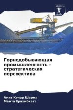 Gornodobywaüschaq promyshlennost' - strategicheskaq perspektiwa