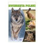 Zwierzęta Polski. Wydanie 2023