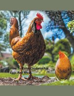 How to raise chickens for eggs and meat