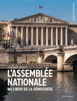 L'ASSEMBLEE NATIONALE