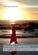Erwachen der Seele