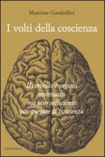 volti della coscienza. Il cervello è organo necessario ma non sufficiente per spiegare la coscienza