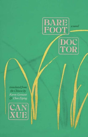 Barefoot Doctor – A Novel