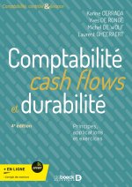 Comptabilité et analyse des états financiers