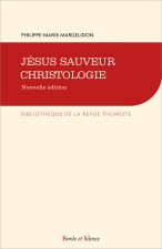 Jésus Sauveur, Christologie