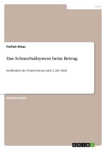 Das Schneeballsystem beim Betrug