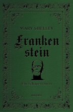 Frankenstein. Ein Schauerroman
