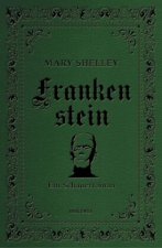 Frankenstein. Ein Schauerroman