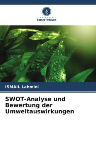 SWOT-Analyse und Bewertung der Umweltauswirkungen