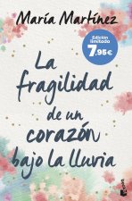 LA FRAGILIDAD DE UN CORAZON BAJO LA LLUVIA