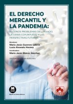 El Derecho mercantil y la pandemia: algunos problemas del pasado, la crisis coyuntural y las perspec