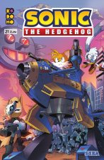 SONIC: THE HEDHEGOG NUM. 21