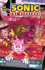 SONIC: THE HEDHEGOG NUM. 22
