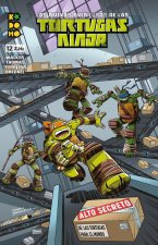 LAS NUEVAS AVENTURAS DE LAS TORTUGAS NINJA NUM. 12