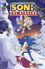 SONIC: THE HEDHEGOG NUM. 36