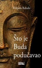 Što je Buda podučavao