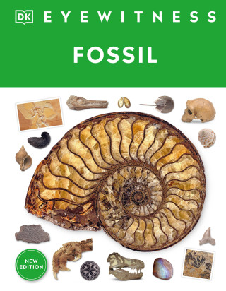 Eyewitness Fossil