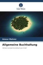 Allgemeine Buchhaltung