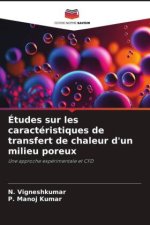 Études sur les caractéristiques de transfert de chaleur d'un milieu poreux