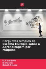 Perguntas simples de Escolha Múltipla sobre a Aprendizagem por Máquina