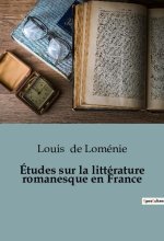 Études sur la littérature romanesque en France