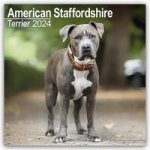 American Staffordshire Terrier Calendar 2024  Square Dog Breed Wall Calendar - 16 Month