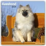 Keeshond Calendar 2024  Square Dog Breed Wall Calendar - 16 Month