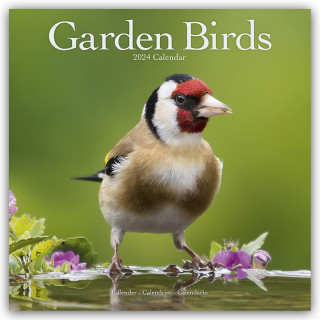 Garden Birds Calendar 2024  Square Birds Wall Calendar - 16 Month