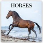 Horses Calendar 2024  Square Horses Wall Calendar - 16 Month