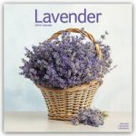 Lavender Calendar 2024  Square Flowers Wall Calendar - 16 Month