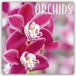 Orchids Calendar 2024  Square Flowers Wall Calendar - 16 Month