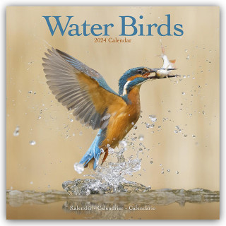 Waterbirds Calendar 2024  Square Birds Wall Calendar - 16 Month