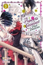 Princess of Convenient Plot Devices, Vol. 3 (light novel)