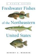 Freshwater Fishes of the Northeastern United States: A Field Guide