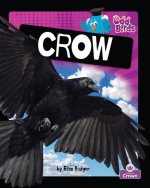 Crow