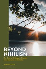 Beyond Nihilism: The Turn in Heidegger's Thought from Nietzsche to Hölderlin