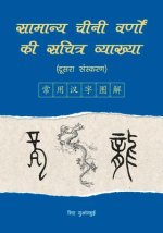 An Illustrated Account of Common Chinese Characters (Second Edition) (Hindi Edition)