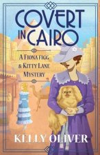 Covert in Cairo